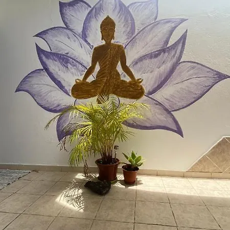 Mini House Nane Apartament Playa Honda (Lanzarote)